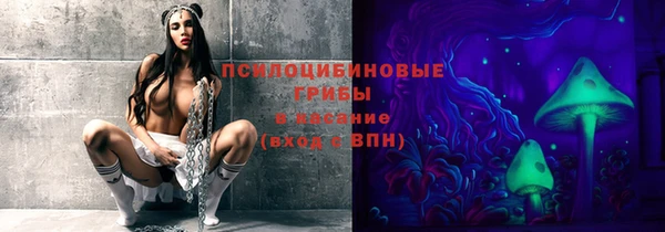 стафф Арсеньев