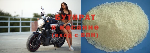 хмурый Аркадак