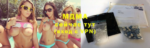 хмурый Аркадак