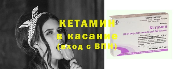 хмурый Аркадак