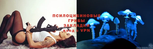 стафф Арсеньев