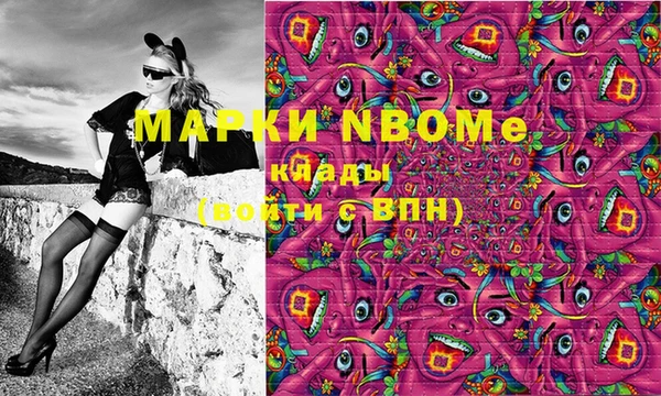 хмурый Аркадак
