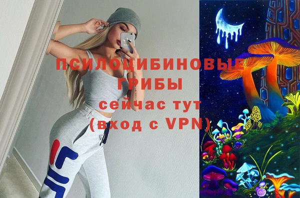 хмурый Аркадак