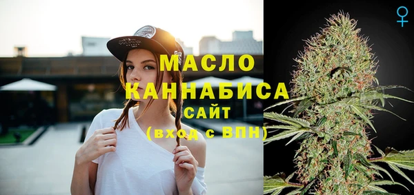 хмурый Аркадак
