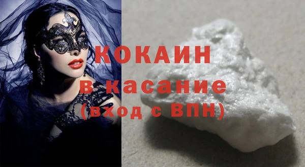 хмурый Аркадак